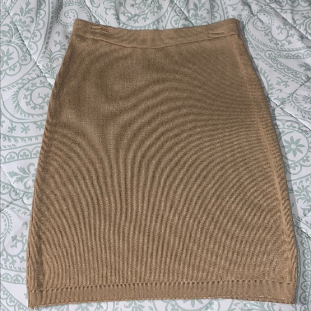 American Apparel Pencil Skirt